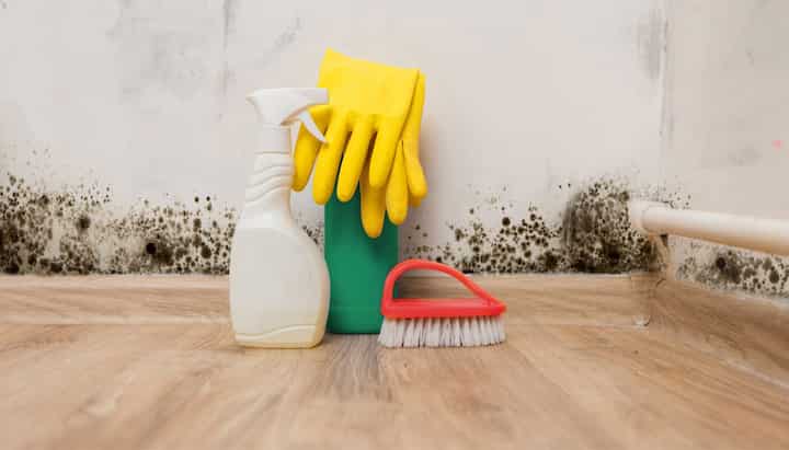We offer fast and reliable services to help remove and prevent mold growth in your home or business in Falcon, North Carolina