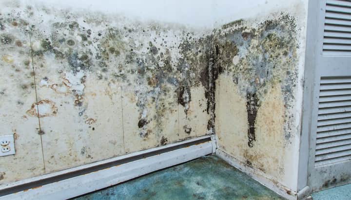 Professional mold removal, odor control, and water damage restoration service in Falcon, North Carolina.